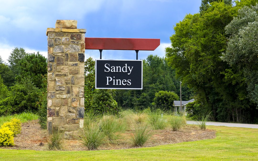 Sandy Pines